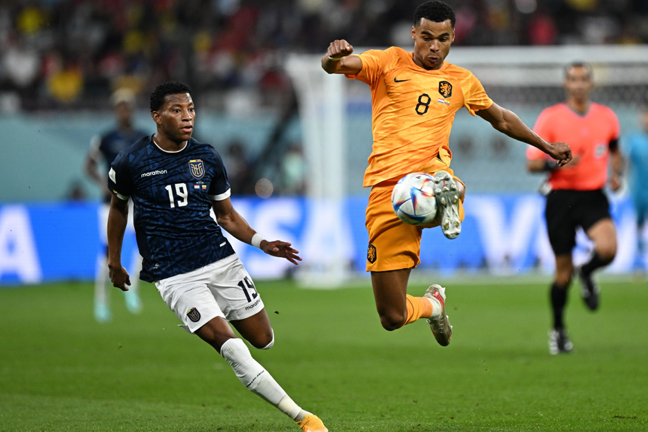 开云APP-关于纷争不断的联赛再次掀起热潮的信息