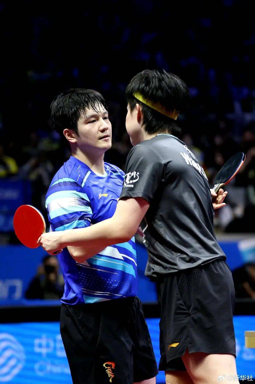 英格兰队横扫法国队,樊振东状态火热 英格兰队横扫法国队,樊振东状态火热