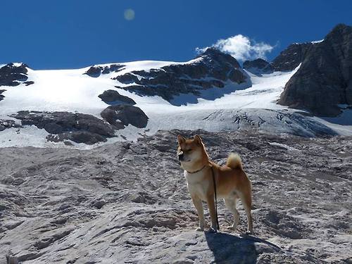 开云平台-时空熔炉,当布鲁克林篮网在虚拟战场遭遇新疆飞虎,莫兰特如何撕裂次元壁?