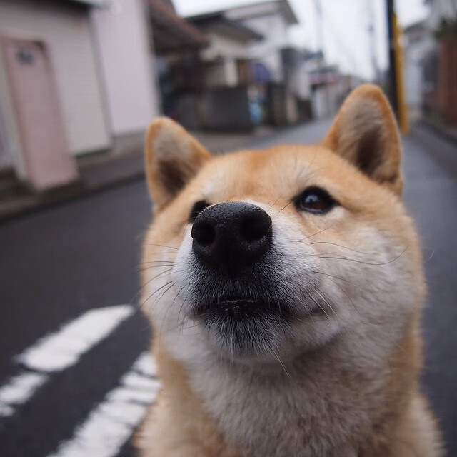 全境焦点,当高压聚光灯下诞生真正的突围者