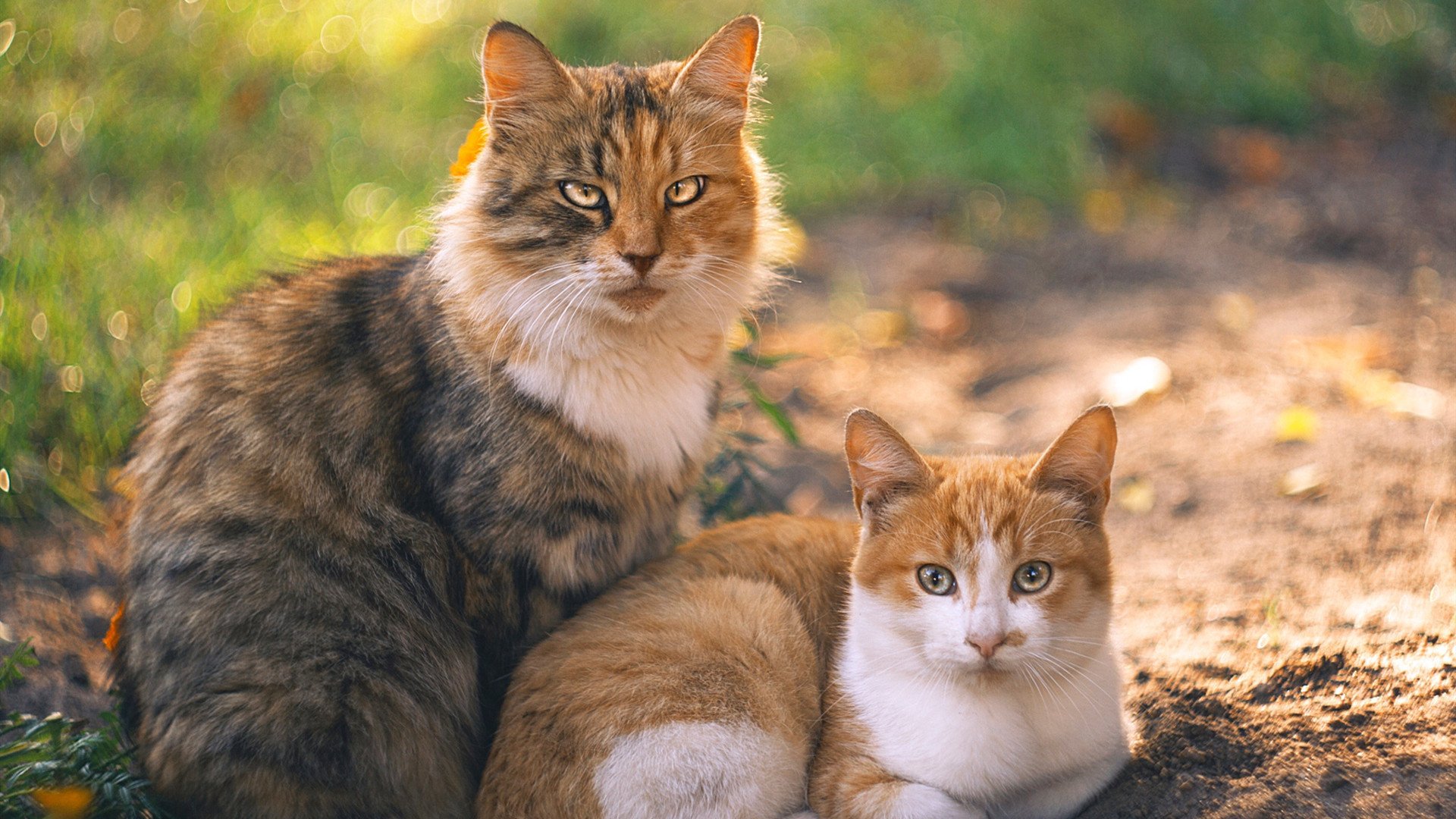 开云平台-从无人问津到制胜英雄，替补马里如何用11分钟征服伯纳乌