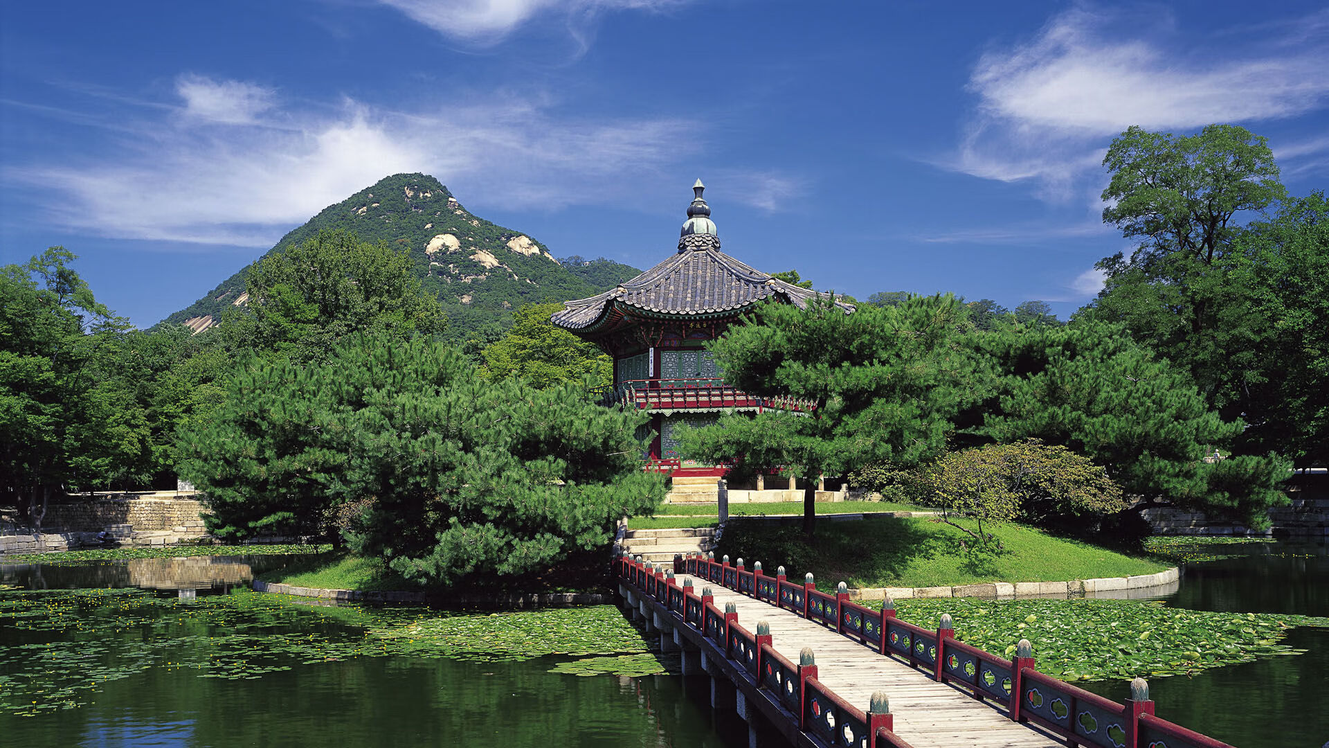 从多哈到慕尼黑,当荷兰单节的基因刻入欧冠半决赛的骨髓