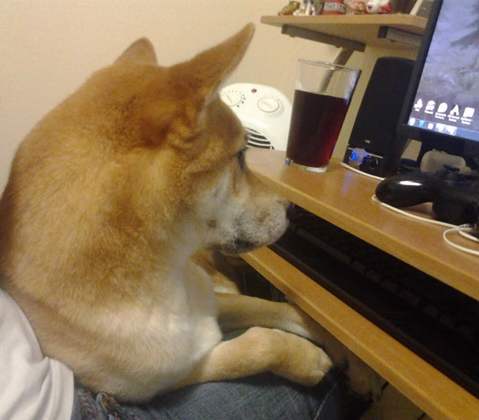 2026世界杯之夜，三笘薰的单翼风暴，一个时代的注脚