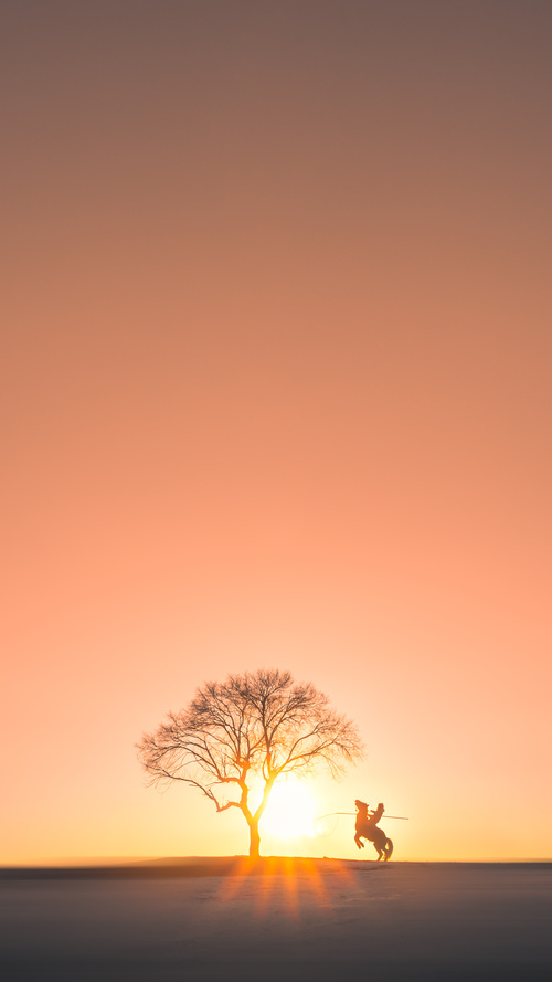 开云平台-虚拟对决，当上海队连续得分压制快船，东契奇为何仍是终极胜负手？