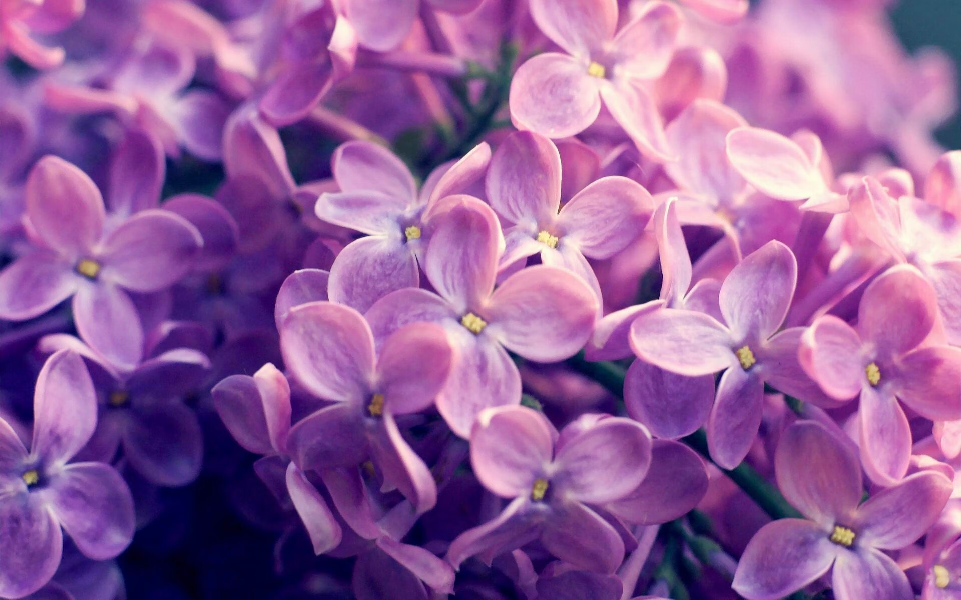 开云体育-双线震撼,英超天王山对决与土耳其的足球逆袭