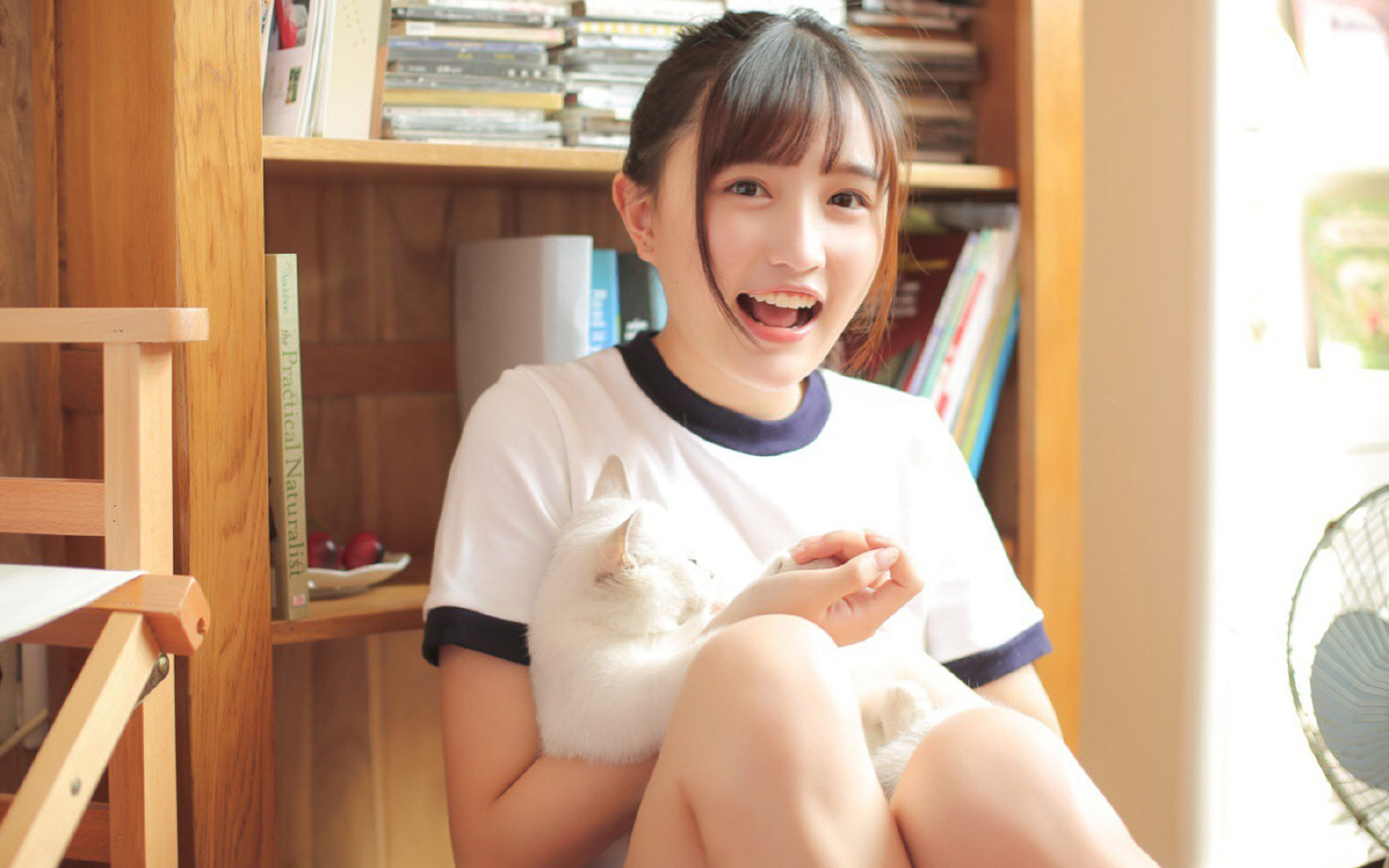 绿茵场上的东契奇,当意甲之夜被一个篮球巨星的名字照亮