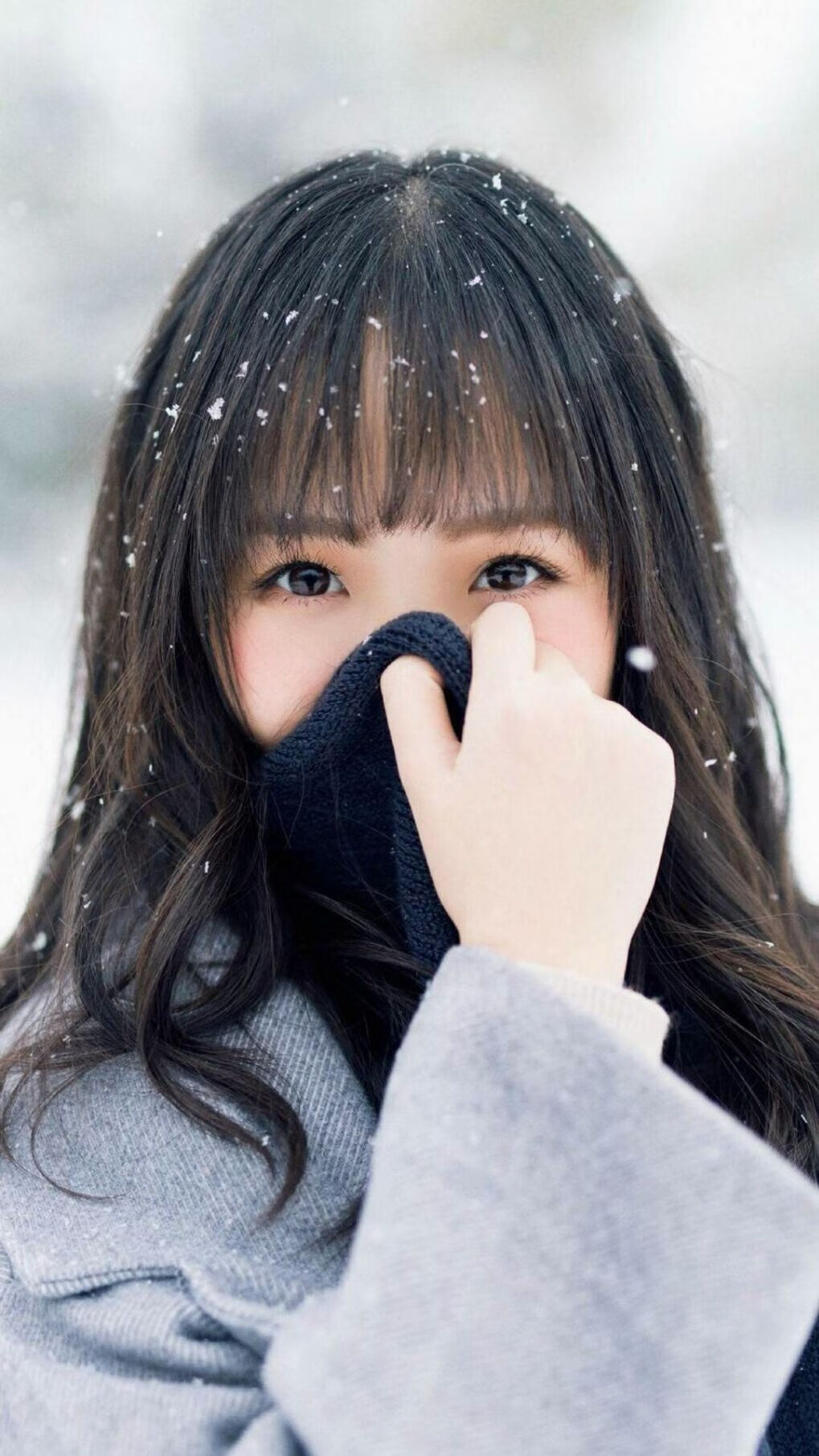 开云下载-黄蜂对阵北京队,当钢与棉的交锋撕裂真空—解读福格斯何以成为硬仗之王的终极密码