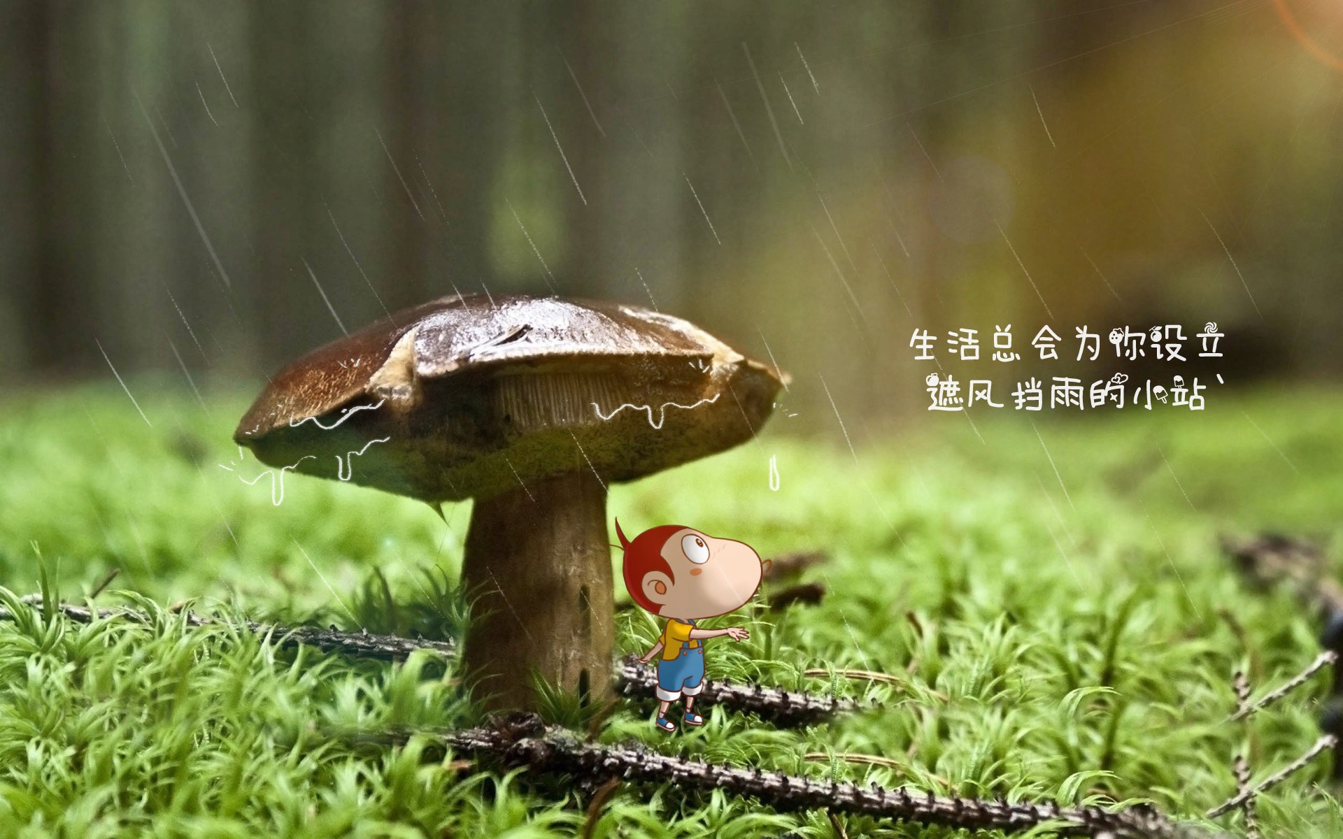 篮球世界杯,纽约尼克斯的绿茵场激情