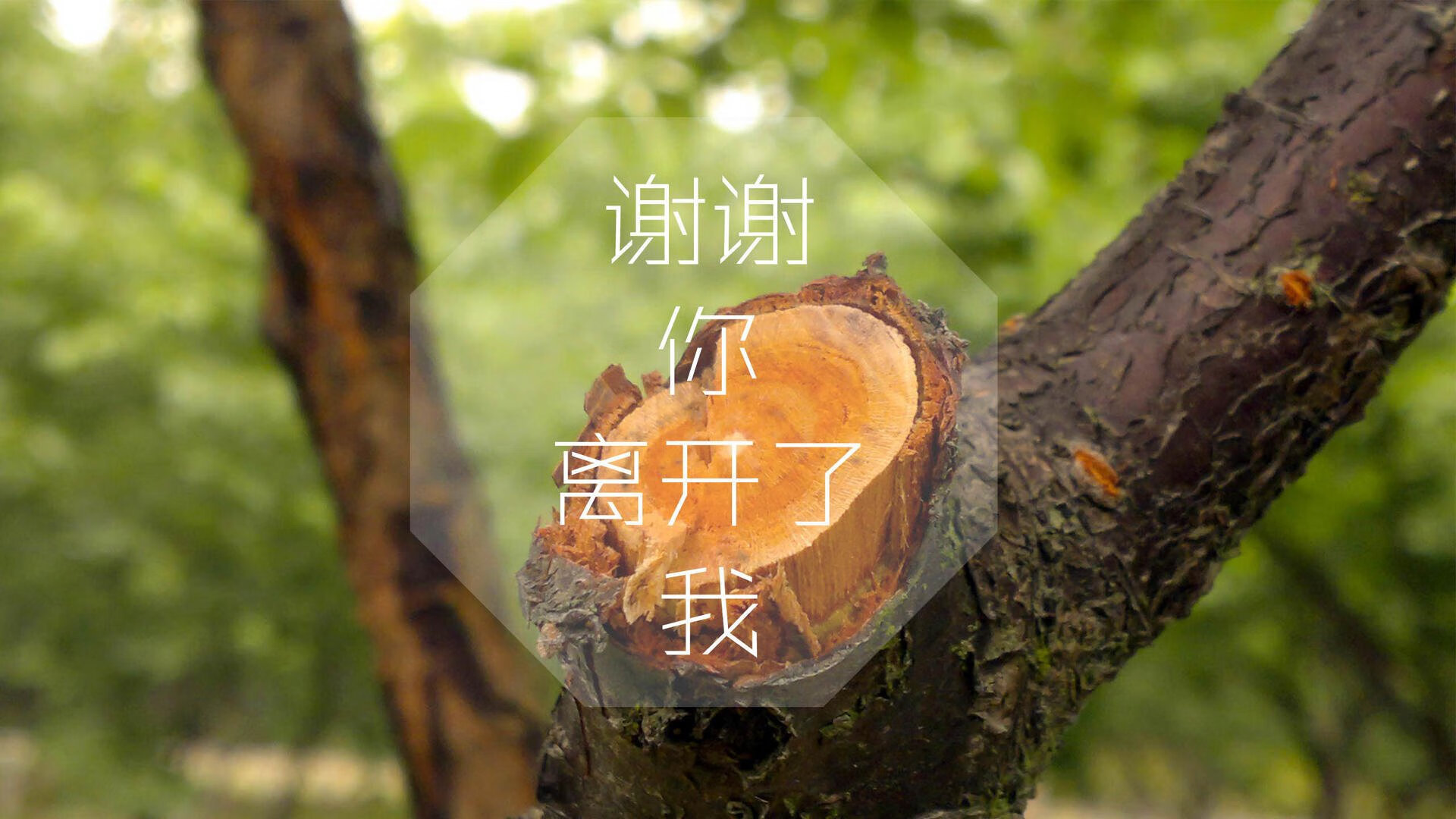 开云体育app-利拉德55分狂潮席卷风城!超远三分让芝加哥防线集体沉默