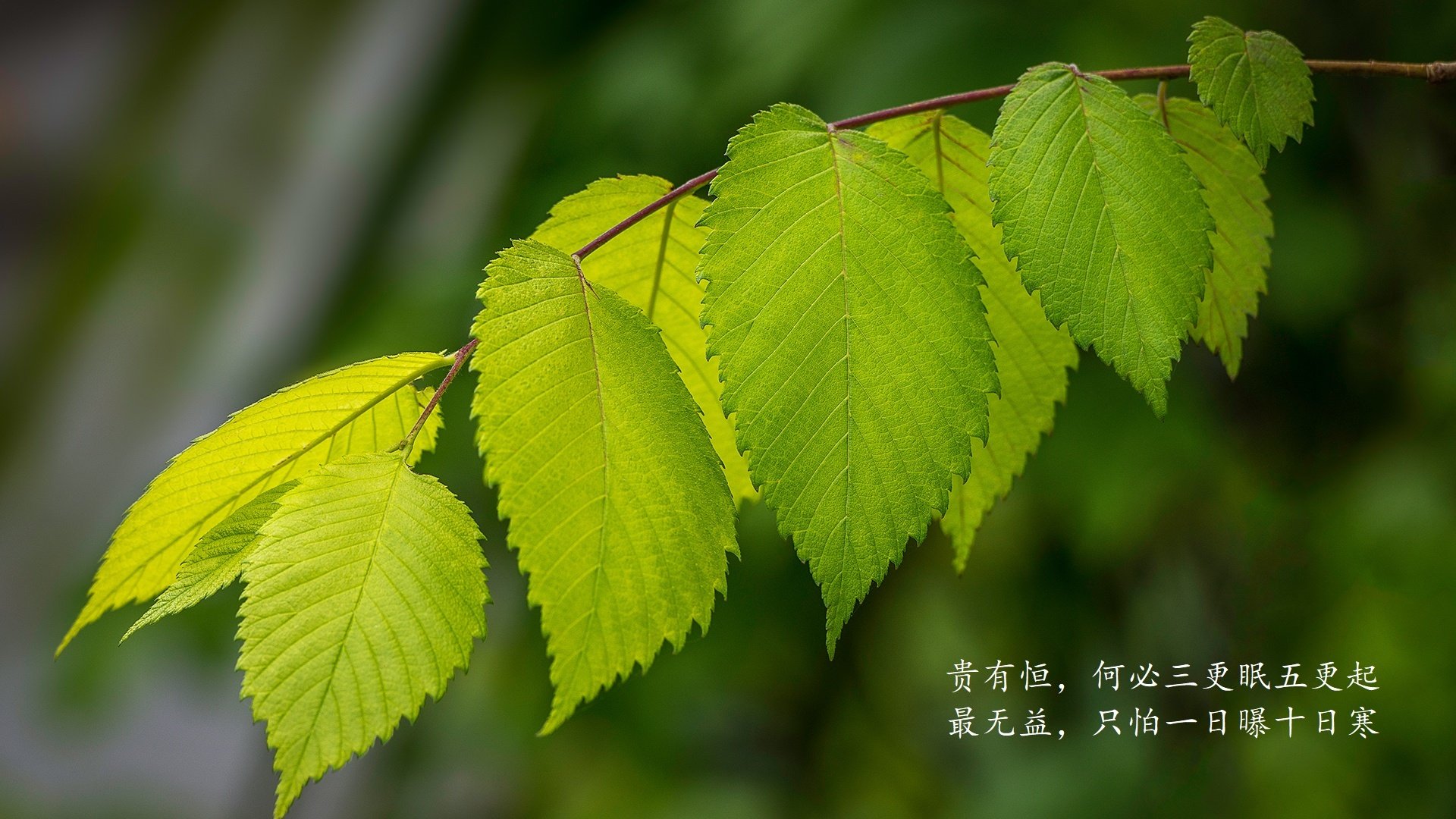开云体育入口-当NBA季后赛之夜，遇见苏亚雷斯，用实力燃爆全场，一次顶一万次